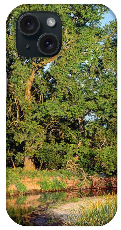 Trees. Streams iPhone Case featuring the drawing Streamside Cottonwood by Bruce Morrison