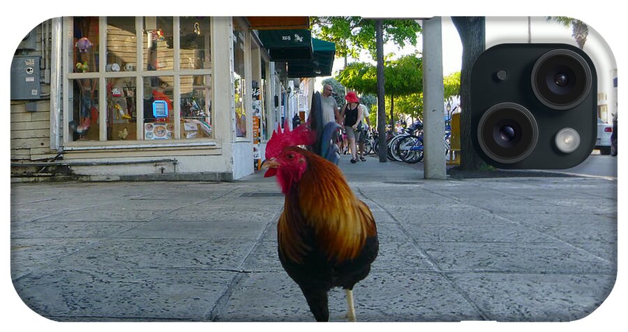 Rooster iPhone Case featuring the photograph Strutting by Jon Emery