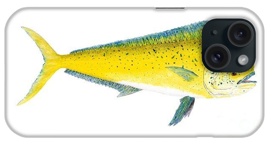 Mahi-mahi iPhone Case featuring the painting Study of a Mahi Mahi by Thom Glace