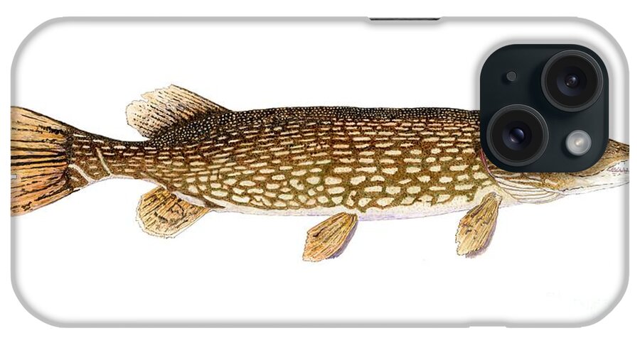 Pike iPhone Case featuring the painting Study of a Northern Pike by Thom Glace