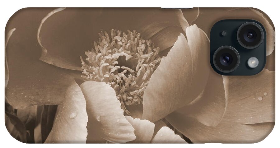 Subdued iPhone Case featuring the photograph Subdued by Eunice Miller