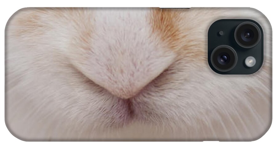 White iPhone Case featuring the photograph sugar the easter bunny 1 -A curious and cute white rabbit close up by Pedro Cardona Llambias