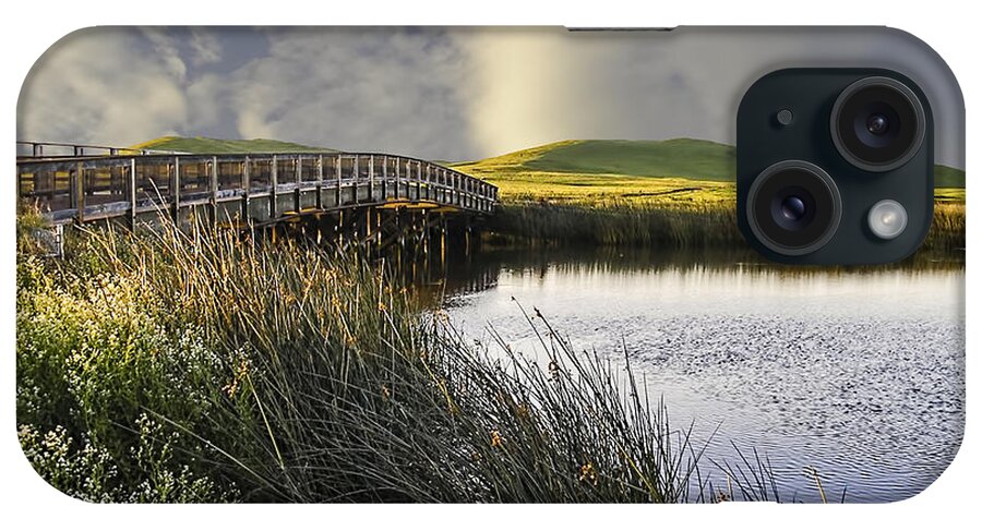 Bridge iPhone Case featuring the photograph Suisun Marsh by Phil Clark
