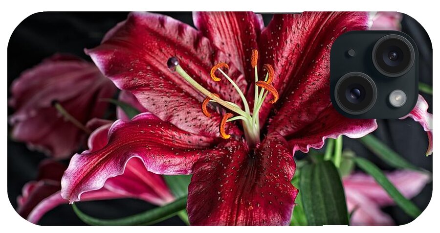 Flower iPhone Case featuring the photograph Sumatran Lily by Dave Files