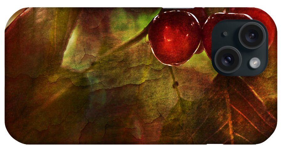 Kitchen iPhone Case featuring the photograph Summer Cherries 2 by Theresa Tahara