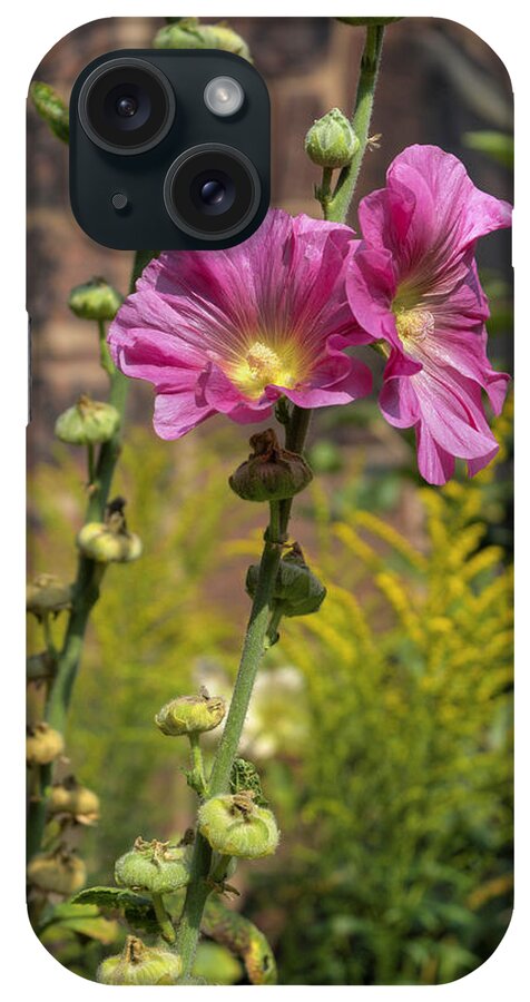 Flower iPhone Case featuring the photograph Summer Hollyhocks by Ian Mitchell