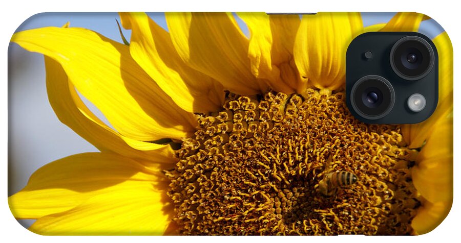 Sunflower iPhone Case featuring the photograph Summer Love by Linda Shafer