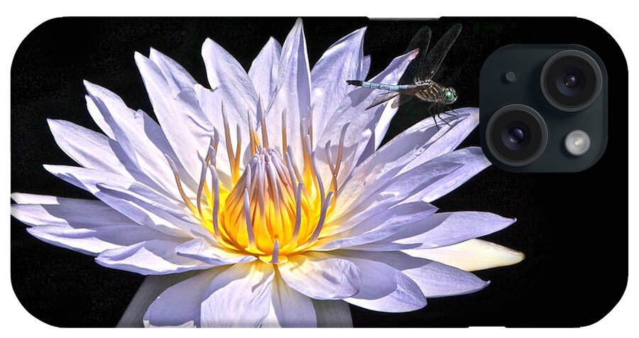 Lavender Tropical Waterlily And Blue Dasher Dragonfly Isolated iPhone Case featuring the photograph Summer Magic -- Dragonfly On Waterlily On Black by Byron Varvarigos
