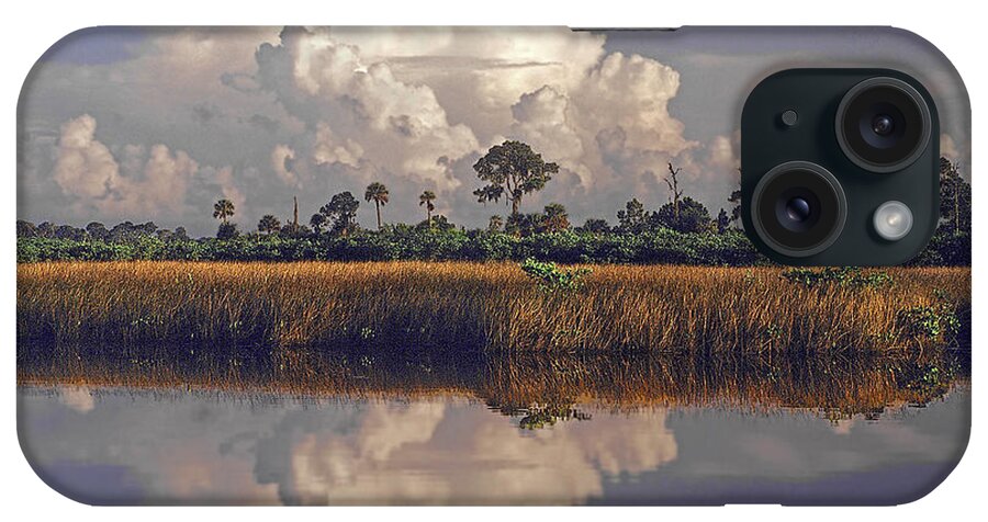 Nature iPhone Case featuring the photograph Summer on Pine Island by Phil Jensen