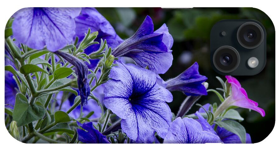 Petunias iPhone Case featuring the photograph Summer Petunias by Wilma Birdwell
