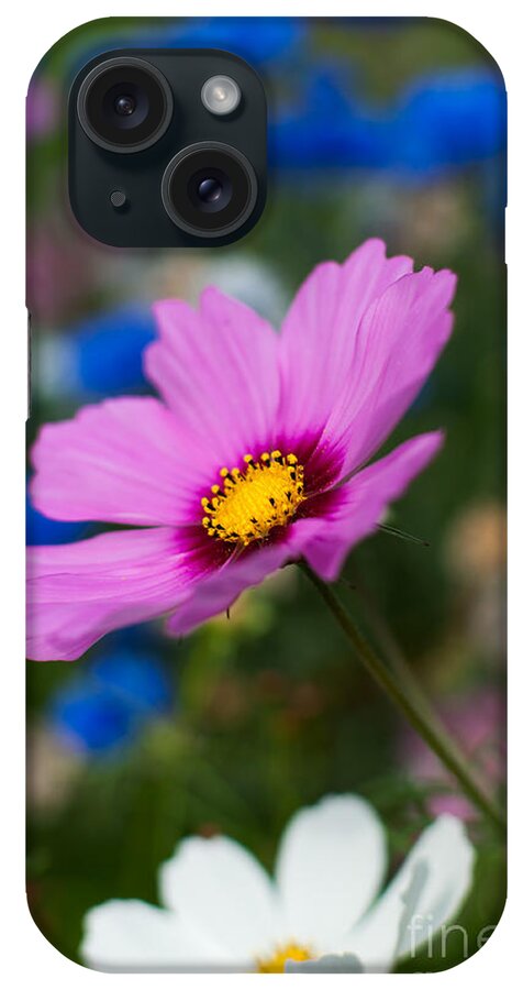 Flowers iPhone Case featuring the photograph Summer Wild Blooms by Matt Malloy