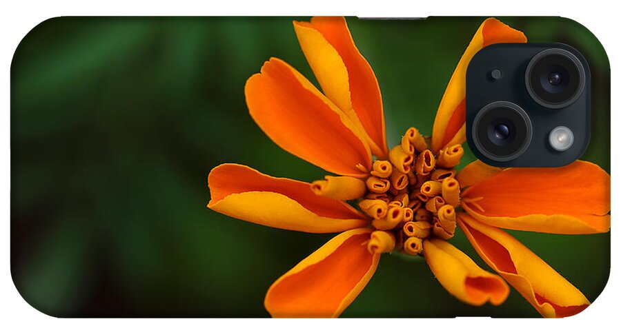 Marigold iPhone Case featuring the photograph Summer's Unfolding by Michael Eingle