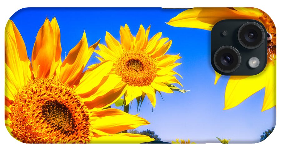 Sunflower iPhone Case featuring the photograph Summertime Sunflowers by Bob Orsillo