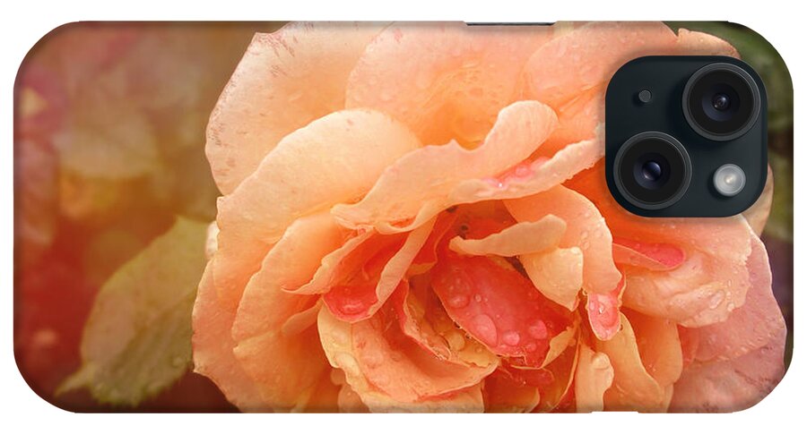 Loose Park Kcmo iPhone Case featuring the photograph Sun Kissed Rose by Stephanie Hollingsworth