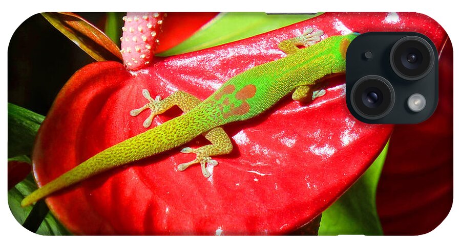 Gecko iPhone Case featuring the photograph Sunbathing Gecko by Lori Seaman