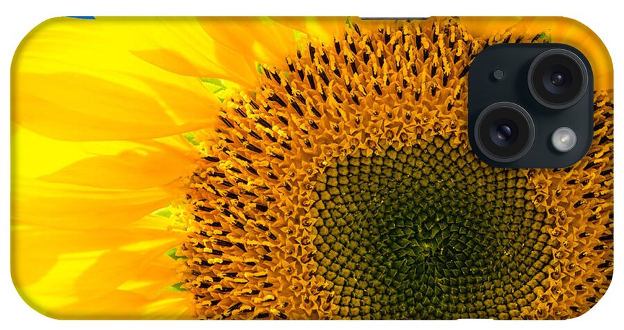 Sunflower iPhone Case featuring the photograph Sunflower by Andreas Berthold