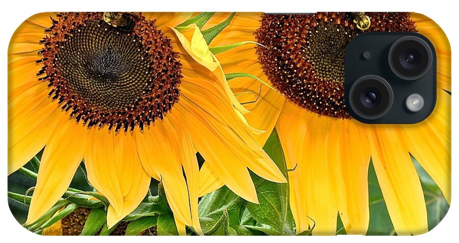 Close iPhone Case featuring the photograph Sunflower Close Up by Frozen in Time Fine Art Photography