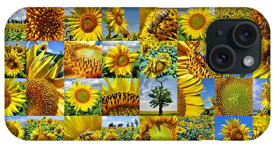 Sunflower iPhone Case featuring the photograph Sunflower field collage in yellow by Daliana Pacuraru