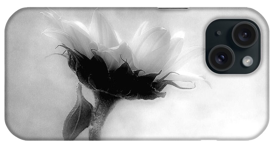 Sunflower iPhone Case featuring the photograph Sunflower in Profile by Louise Kumpf