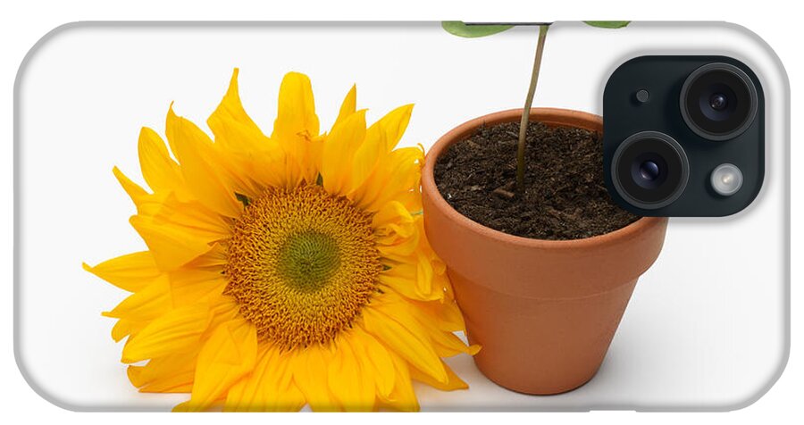 Seed iPhone Case featuring the photograph Sunflower Life Cycle by Martin Shields