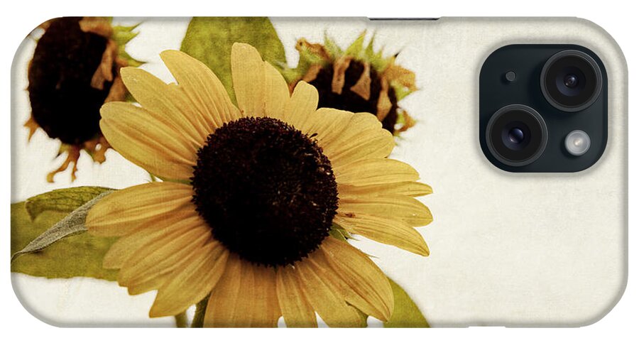 Sunflower iPhone Case featuring the photograph Sunflower by Toni Hopper