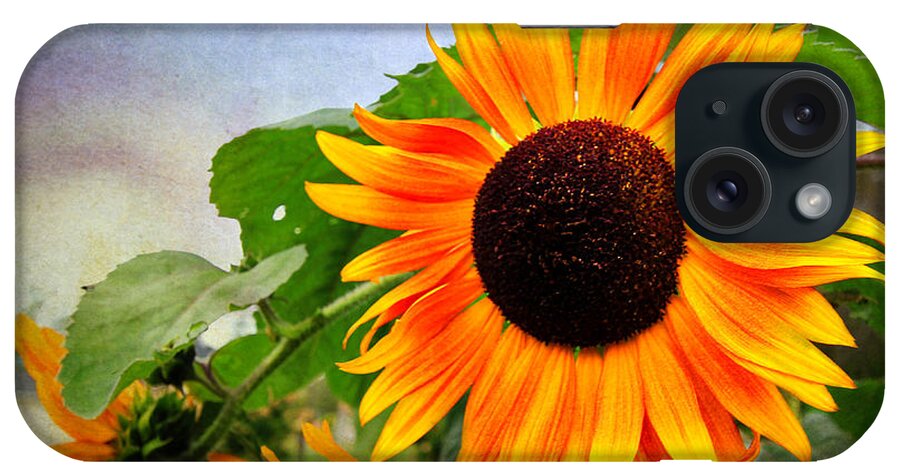 Sunflower iPhone Case featuring the digital art Sunflower by Trina Ansel