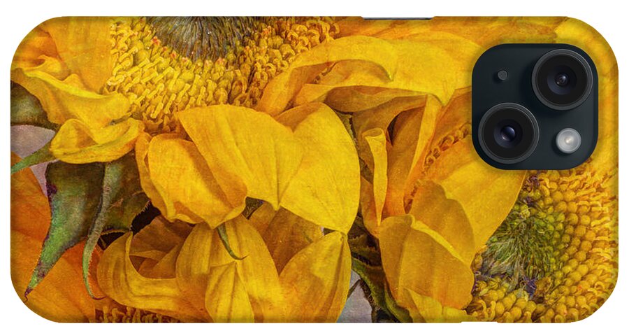Yellow iPhone Case featuring the photograph Sunflower Trio by Heidi Smith