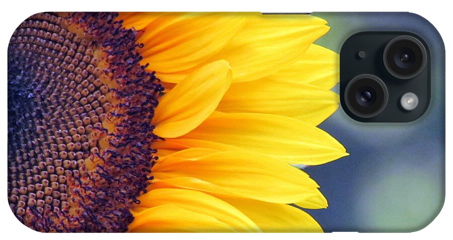Bokeh iPhone Case featuring the photograph Sunflower with Bokeh by Lili Feinstein