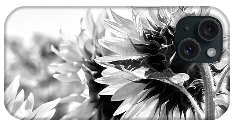 Monochromatic iPhone Case featuring the photograph #sunflowers #blackandwhite #bnw by Georgia Clare
