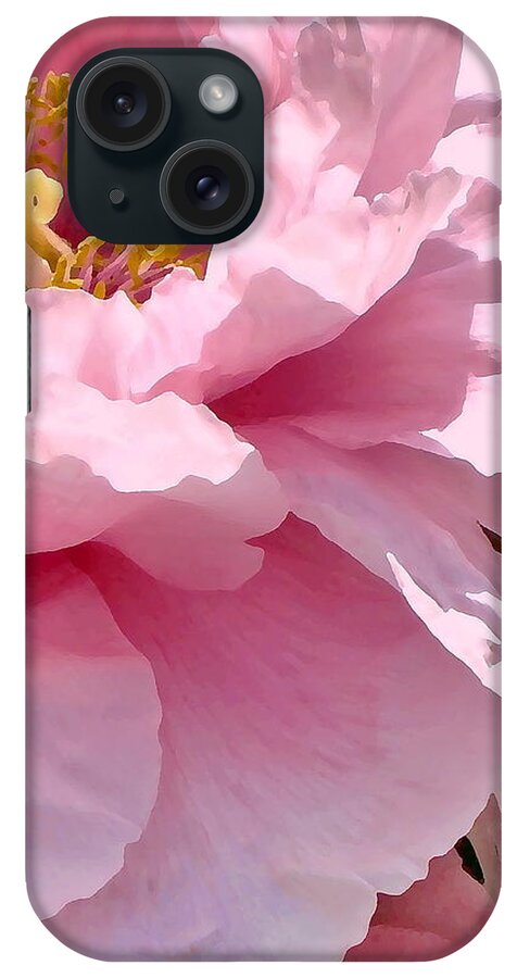 Pink iPhone Case featuring the photograph Sunkissed Peonies 1 by Cindy Greenstein