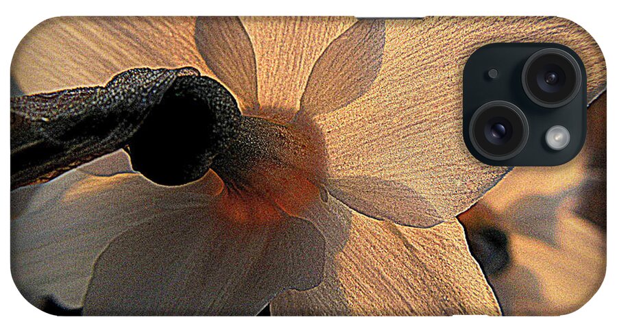 Daffodil iPhone Case featuring the photograph Sunlight Becomes You by Suzy Piatt