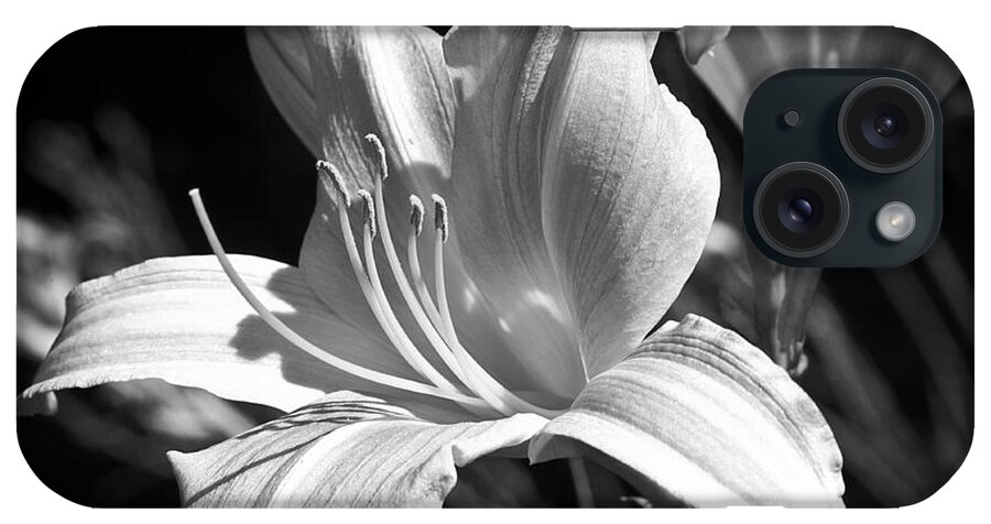 Lee Craig iPhone Case featuring the photograph Sunlit Lily in Black and White by Lee Craig