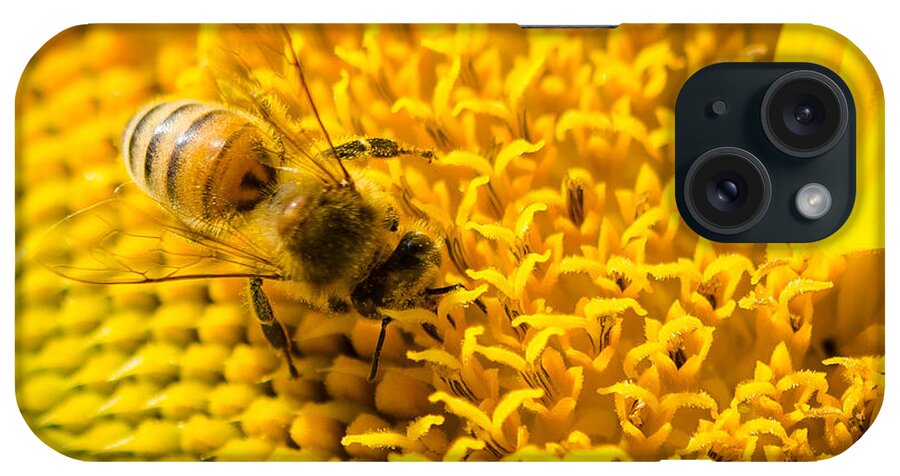 Sunflowers iPhone Case featuring the photograph Sunny Bee by Georgette Grossman