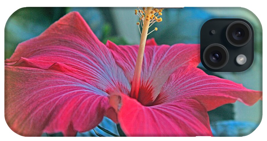 Hibiscus iPhone Case featuring the photograph Sunny Hibiscus by Bonnie Willis