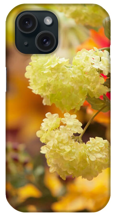 Flower iPhone Case featuring the photograph Sunny Mood. Amsterdam Flower Market by Jenny Rainbow