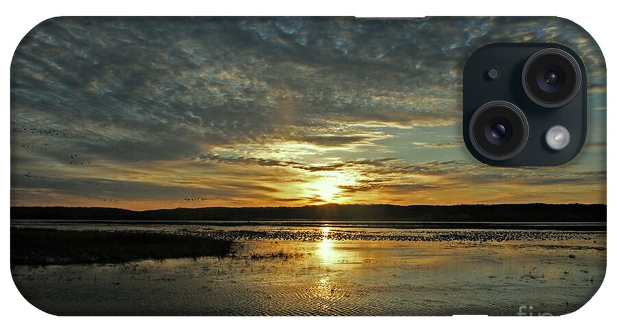 Sunrise iPhone Case featuring the photograph Sunrise Arrivals by Elizabeth Winter