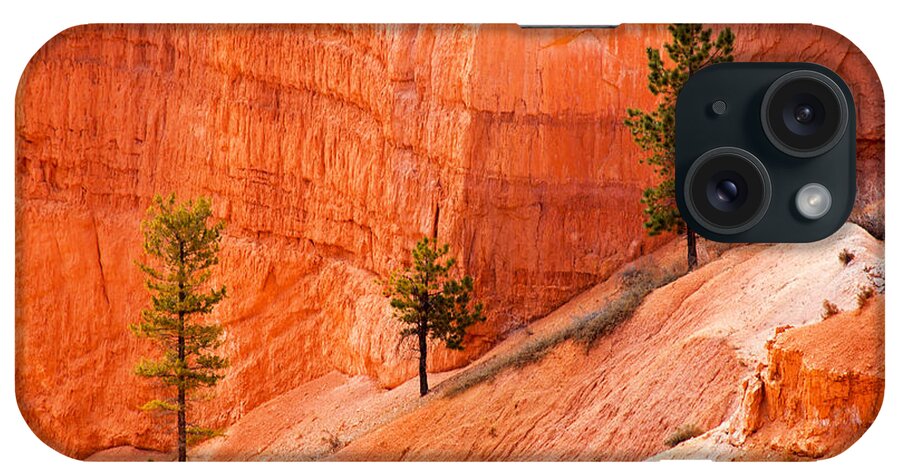Bryce Canyon iPhone Case featuring the photograph Sunrise Point Bryce Canyon National Park by Fred Stearns