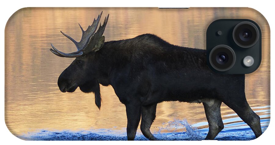 Bull Moose iPhone Case featuring the photograph Sunrise Stroll by Mark Kiver
