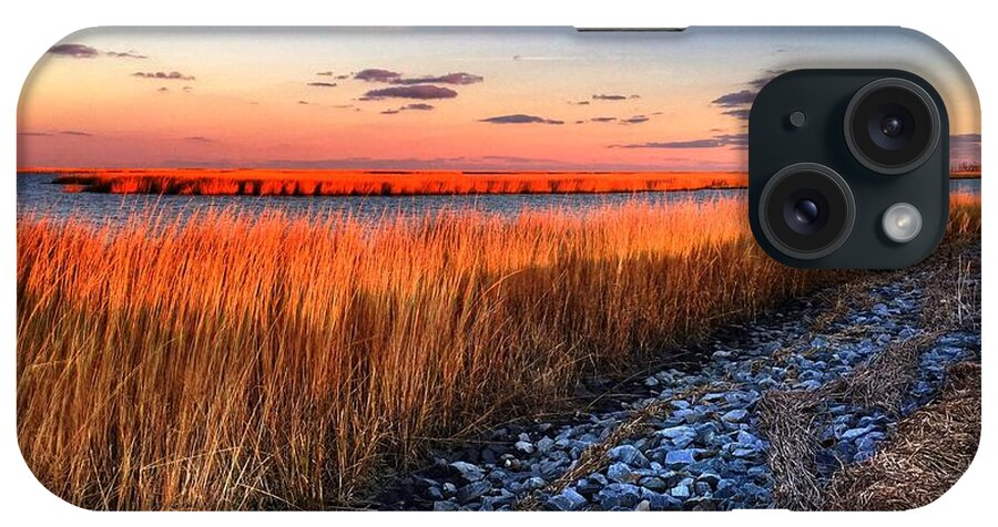 Bombay Hook iPhone Case featuring the photograph Sunset at Bombay Hook by Jack Nevitt