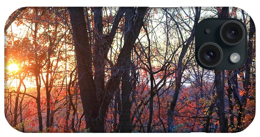 Sunset Autumn iPhone Case featuring the photograph Sunset Autumn by PJQandFriends Photography