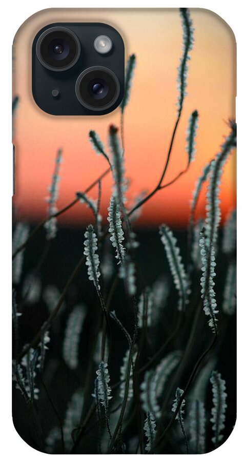 Australia iPhone Case featuring the photograph Sunset Desert by Henry Kowalski