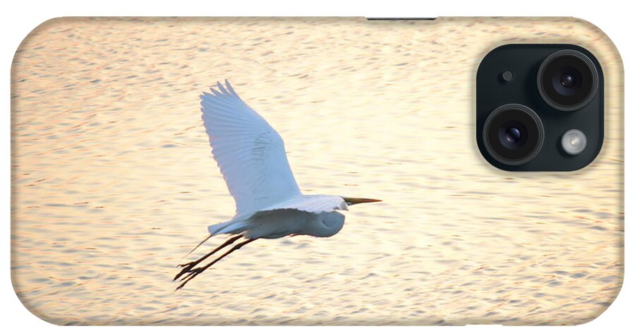 Wading Bird iPhone Case featuring the photograph Sunset Flight by Carol Bradley