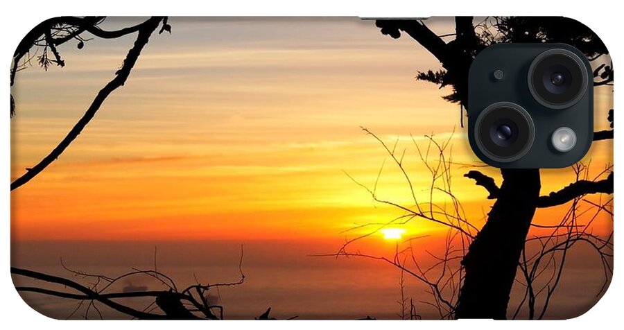 Sunset iPhone Case featuring the photograph Sunset in a Tree Frame by Alexander Fedin
