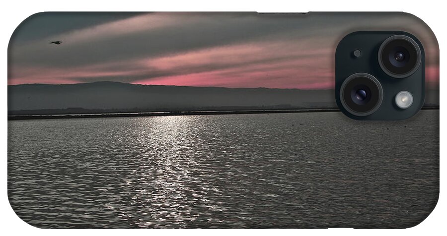 Birds iPhone Case featuring the photograph Sunset On The Marsh by SC Heffner