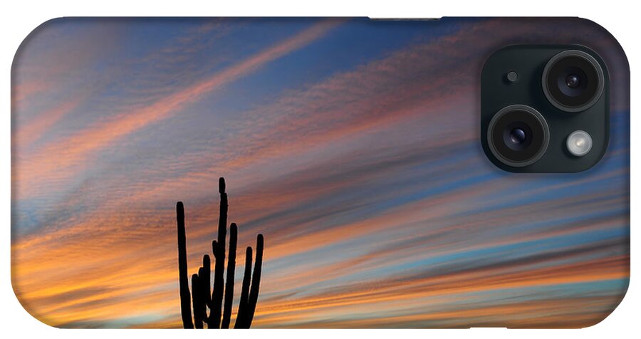 Saguaro iPhone Case featuring the photograph Sunset Sentinel AZ by Joanne West