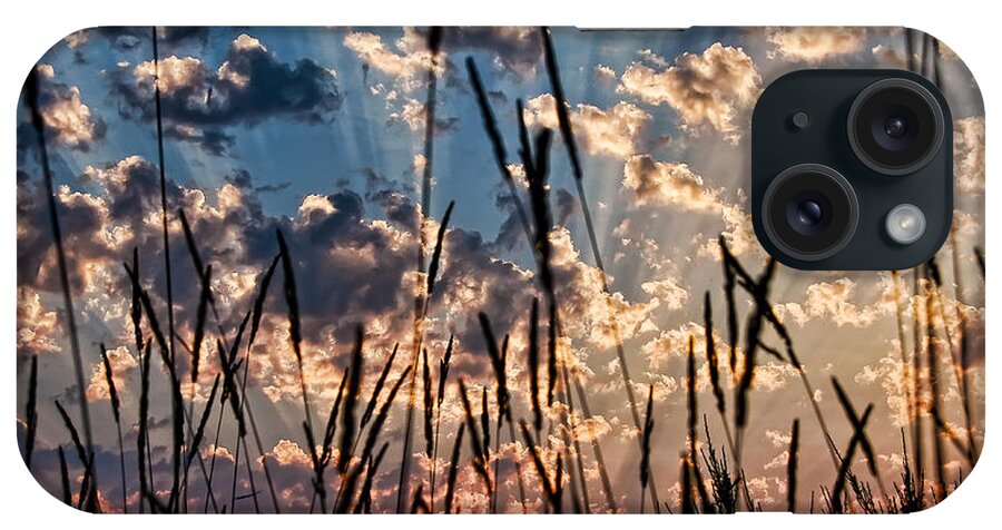 Sunset iPhone Case featuring the photograph Sunset Through the Grasses by Don Schwartz
