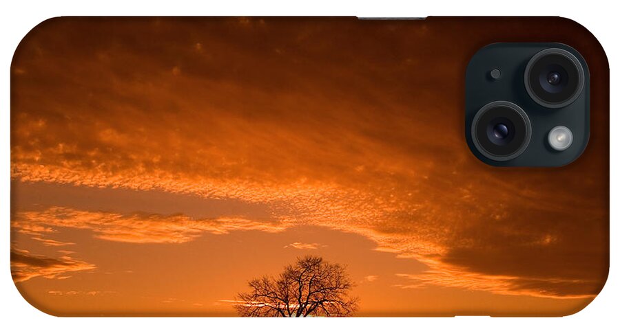 Sunset iPhone Case featuring the photograph Sunset Tree by Don Johnson
