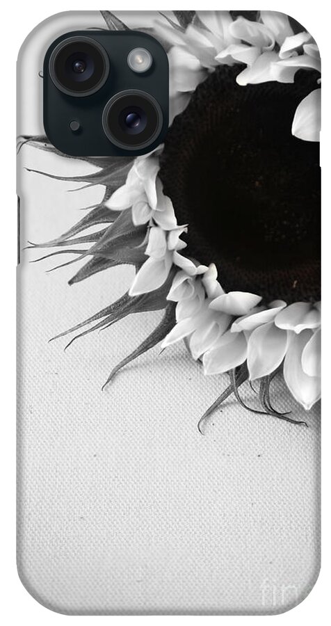 Sunflower iPhone Case featuring the photograph Sunshine 2 by Eden Baed