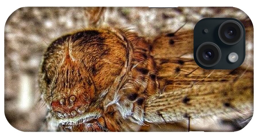  iPhone Case featuring the photograph Super Macro £1spider by Naresh Mali