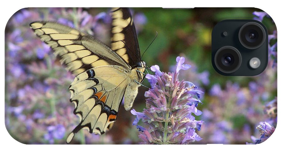 Butterfly iPhone Case featuring the photograph Swallowtail in Motion by Forest Floor Photography